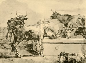 Vacas bebiendo agua, mediados-finales del siglo XVIII, 1928 de Giovanni Domenico Tiepolo