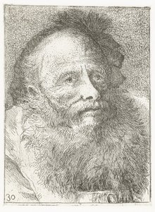 Hombre con barba y tocado con pluma Colección de cabezas (título de la serie) Raccolta di Teste (título de la serie) de Giovanni Domenico Tiepolo
