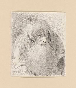 Viejo con barba y pelo largo, de la Raccolta di Teste (Colección de cabezas) de Giovanni Domenico Tiepolo