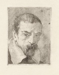Viejo con barba y cabeza descubierta, de la Raccolta di Teste (Colección de cabezas)