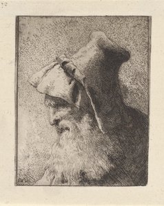 Perfil de un anciano con barba, de la Raccolta di Teste (Colección de cabezas) de Giovanni Domenico Tiepolo
