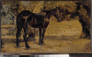 Caballo oscuro