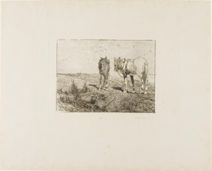 Descanso de los caballos de Giovanni Fattori