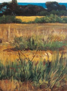 Italia, Florencia, Maremma Toscana, circa 1894 (detalle) de Giovanni Fattori