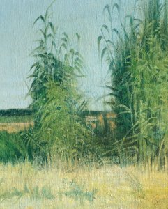 Portador de agua de Livorno de Giovanni Fattori