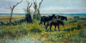 Pastos de la Maremma. Caballos pastando, c.1872 (óleo sobre lienzo) de Giovanni Fattori
