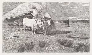 Bueyes uncidos a un carro (Maremma) de Giovanni Fattori