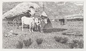 Bueyes Uncidos al Carro (Maremma) de Giovanni Fattori