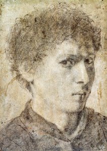 Cabeza de niño, dibujo de Gian Girolamo Savoldo (hacia 1480-1548), lápiz negro y tiza blanca, Italia de Giovanni Girolamo Savoldo