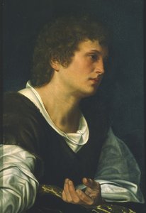 San Juan Evangelista (óleo sobre lienzo) de Giovanni Girolamo Savoldo