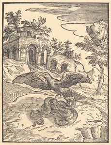 Pájaro y serpiente