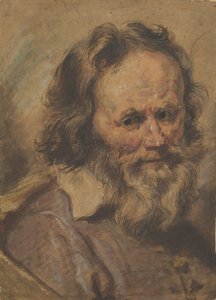 Cabeza de un hombre con barba de Giovanni Serodine