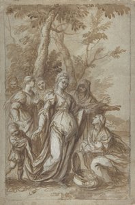 El hallazgo de Moisés de Giovanni Stefano Danedi