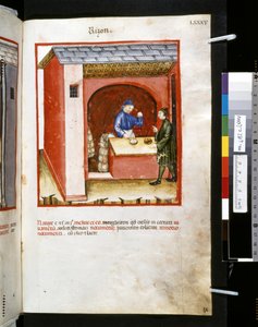 Theatrum sanitatis de Ububchasym de Baldach: "Rizon", primera década del siglo XIV (miniatura) de Giovannino de