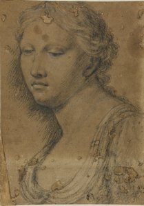 Busto de Mujer de Girolamo da Carpi