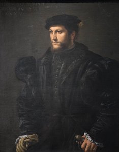 Retrato de un caballero vestido de negro de Girolamo da Carpi
