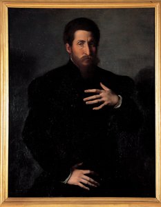 Retrato de un hombre viril de Girolamo da Carpi