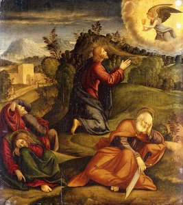 La agonía en el jardín de Girolamo da Santacroce