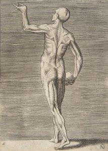 Hombre visto desde atrás, sosteniendo una calavera en su mano derecha, siglo XVI de Giulio Bonasone