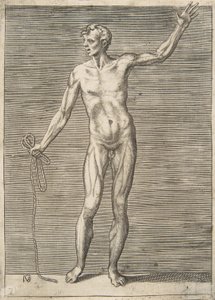 Hombre visto de frente, sosteniendo una cuerda en su mano derecha de Giulio Bonasone