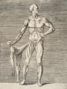 Hombre visto de frente, sosteniendo la piel de su brazo y pierna derecha en su mano derecha de Giulio Bonasone