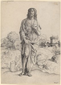San Juan Bautista de Giulio Campagnola