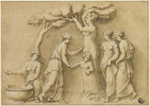 Nacimiento de Adonis de Giulio Romano