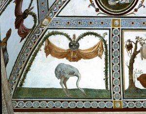 La Cámara con Friso de Amorini (detalle de un avestruz)