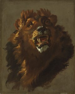 León