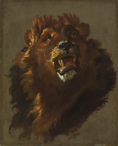 León, 1750s de Giuseppe Baldrighi