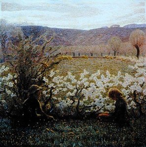 Campo en flor