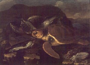 Naturaleza muerta con un pez y una tortuga