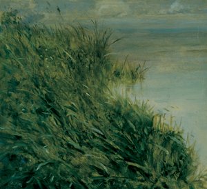 Estudio de pantano de Giuseppe or Joseph de Nittis