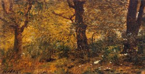 Estudio de madera de Giuseppe or Joseph de Nittis