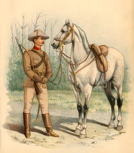Rifles montados victorianos, 1890