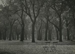 Árboles otoñales en Hyde Park, Londres