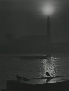 Siluetas de gaviotas al atardecer cerca del río Támesis