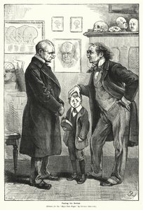 Sintiendo sus protuberancias de Gordon Frederick (after) Browne