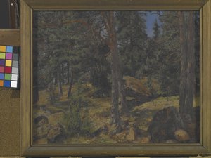 Un banco de abetos (óleo sobre lienzo)