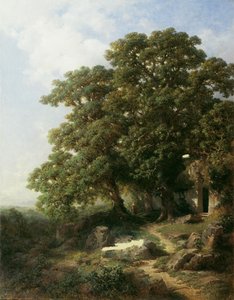 Castañas en Tirol del Sur de Gottfried Seelos