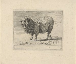 Ram
Diverse dieren (título de la serie) de Govert van der Leeuw