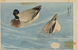 Patos, era Taisho, agosto de 1920 (xilografía en color) de Goyo Hashiguchi