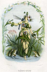 Ilustración para "Les Fleurs Animees de Grandville (1803 47)