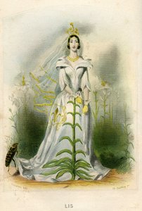 Ilustración para "Les Fleurs Animees de Grandville (1803 47)