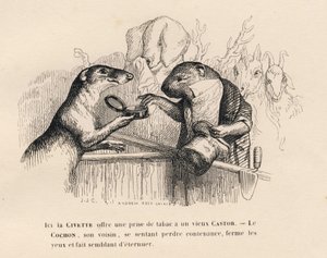 Una civeta ofrece una pizca de tabaco a un viejo castor, el cerdo detrás de él intenta contenerse. Viñetas ilustradas por JJ Granville. Grabado firmado Andrew Best y Leloir en el prólogo titulado "Resumen parlamentario" escrito por PJ Stahl en "Escenas de  de Grandville