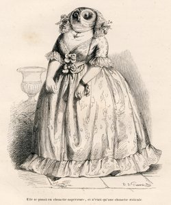 Búho que se creía superior pero que es ridículo. Viñetas ilustradas por JJ Granville. Grabado firmado por Rouget en la parte titulada "Recuerdos de una vieja corneja" escrito por PJ Stahl en "Escenas de la vida privada y pública de los animales". París, J. de Grandville