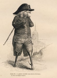 Gallo inválido frente al hotel de los inválidos en París. Viñetas ilustradas por JJ Granville. Grabado firmado por Andrew, Best y Leloir en la parte titulada "Los animales médicos" escrito por Pierre Bernard en "Escenas de la vida privada y pública de los  de Grandville