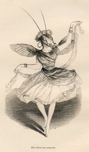 Ella bailó una saltarela. Viñetas ilustradas por JJ Granville. Grabado firmado por Andrew, Best y Leloir en la parte titulada "Las aventuras de una mariposa" escrito por PJ Stahl en "Escenas de la vida privada y pública de los animales". París, J. Hetzel y de Grandville
