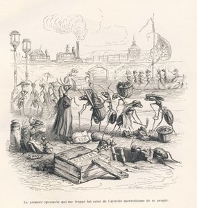 Hormigas en plena actividad en las orillas del Sena. Viñetas ilustradas por JJ Granville. Grabado firmado por Porret en la parte titulada "Viaje de un gorrión de París" escrito por George Sand en "Escenas de la vida privada y pública de los animales". Parí