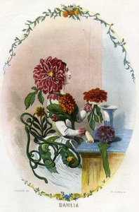 Ilustración para "Les Fleurs Animees de Grandville (1803 47)